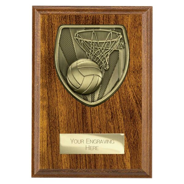 Cobra Plaque Netball Walnut Trophy HQ