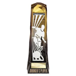 Shard Football Male Managers Player Trophy HQ