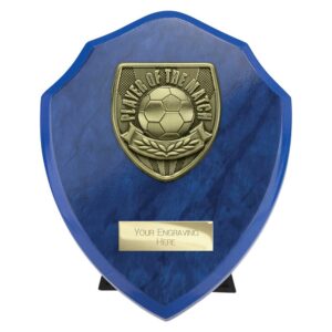 Cobra Shield Player of Match Blue Trophy HQ