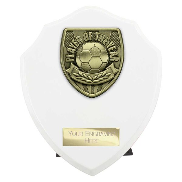 Cobra Shield Player of Year White Trophy HQ