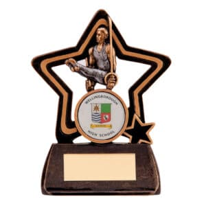 Little Star Gymnastics Trophy Male Trophy HQ