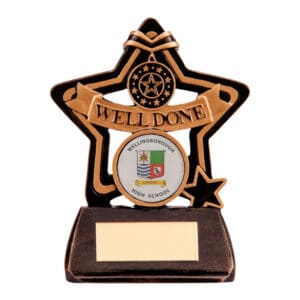 Little Star Well Done Trophy Trophy HQ