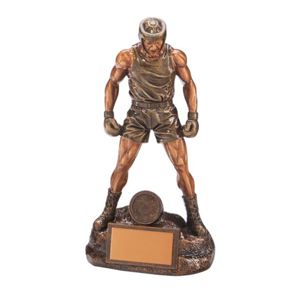 Ultimate Boxing Trophy Trophy HQ