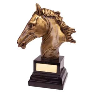 Belmont Equestrian Trophy Trophy HQ