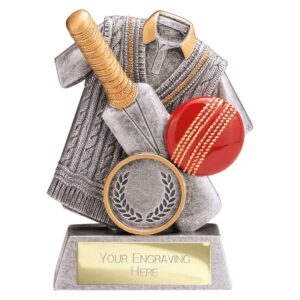 Spirit Cricket Trophy Trophy HQ