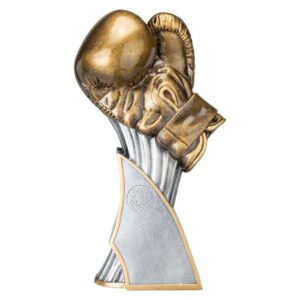 Total KO Trophy Silver Trophy HQ