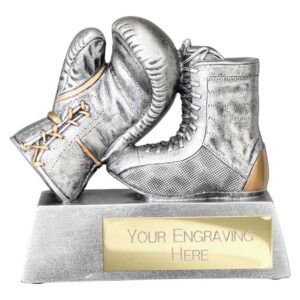 Power Boxing Trophy Silver Trophy HQ