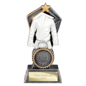 Martial Arts Trophies