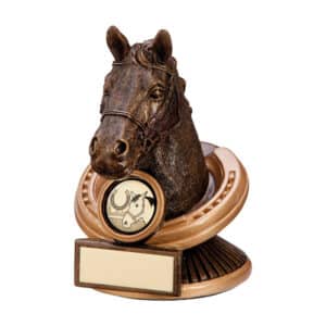 Endurance Equestrian Horse Head Trophy Trophy HQ