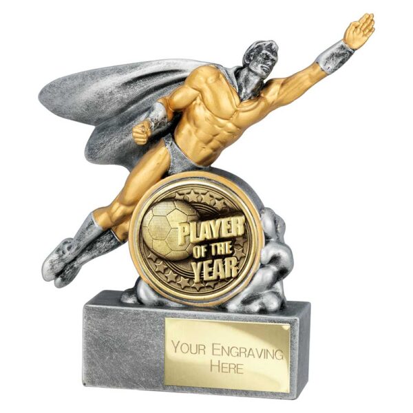 Hero Male Player of Year Trophy Trophy HQ
