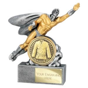 Hero Male Martial Arts Trophy Trophy HQ