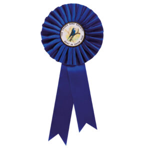Champion Rosette Blue Trophy HQ