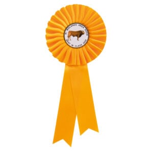 Champion Rosette Yellow Trophy HQ