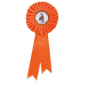 Champion Rosette Orange Trophy HQ