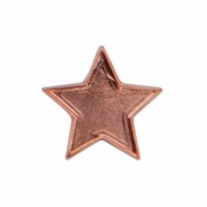Scholar Pin Badge Star Trophy HQ