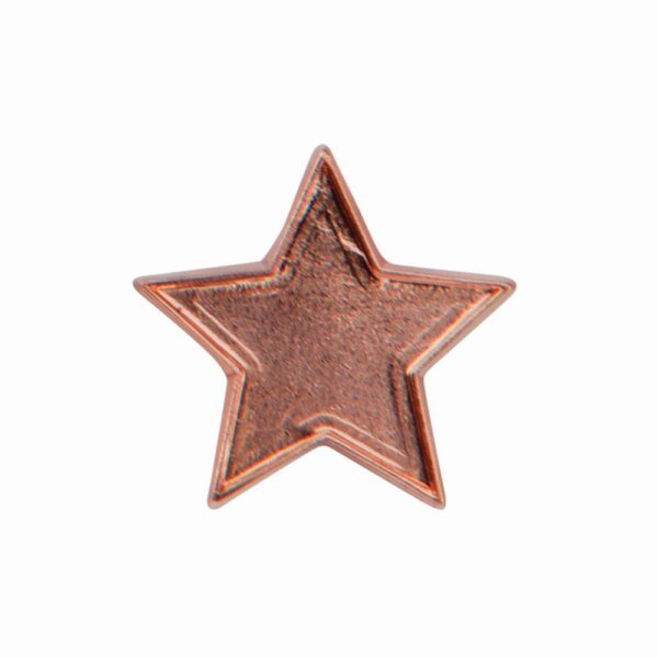 Scholar Pin Badge Star Trophy HQ