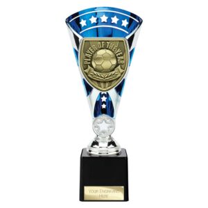 Cobra Star Trophy Cup Player of Year Blue and Silver Trophy HQ