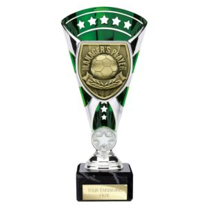 Cobra Star Trophy Cup Managers Player Green and Silver Cobra Star Trophy Cup Managers Player Green and Silver Trophy HQ 2