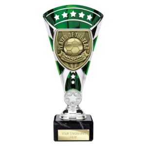 Cobra Star Trophy Cup Player of Year Green and Silver Cobra Star Trophy Cup Player of Year Green and Silver Trophy HQ 2