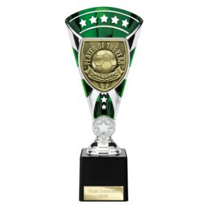 Cobra Star Trophy Cup Player of Year Green and Silver Trophy HQ