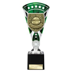 Cobra Star Trophy Cup Player of Match Green and Silver Trophy HQ