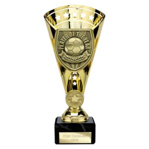 Cobra Star Trophy Cup Player of Year Gold Cobra Star Trophy Cup Player of Year Gold Trophy HQ 2