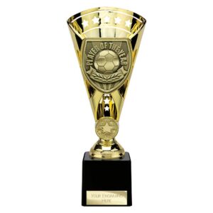 Cobra Star Trophy Cup Player of Year Gold Trophy HQ
