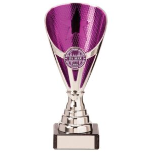 Rising Stars Premium Trophy Silver and Purple Rising Stars Premium Trophy Silver and Purple Trophy HQ