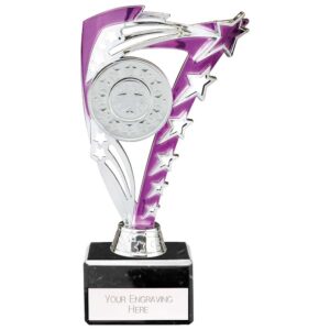 Frenzy Multi Award Trophy Silver and Purple Trophy HQ