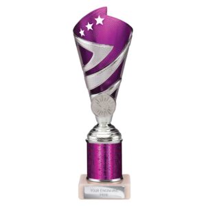 Hurricane Multi Award Tube Trophy Silver and Purple Trophy HQ