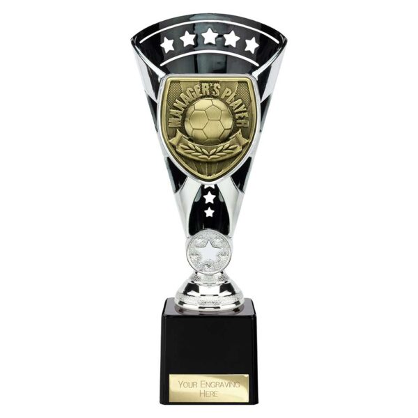Cobra Star Trophy Cup Managers Player Silver and Black Trophy HQ