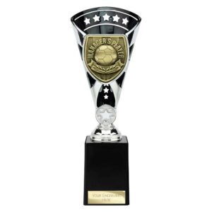 Cobra Star Trophy Cup Managers Player Silver and Black Cobra Star Trophy Cup Managers Player Silver and Black Trophy HQ 2