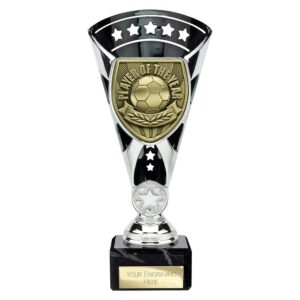 Cobra Star Trophy Cup Player of Year Silver and Black Cobra Star Trophy Cup Player of Year Silver and Black Trophy HQ 2