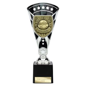 Cobra Star Trophy Cup Player of Year Silver and Black Trophy HQ