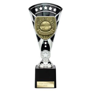 Cobra Star Trophy Cup Player of Match Silver and Black Trophy HQ