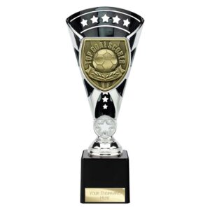 Cobra Star Trophy Cup Top Scorer Silver and Black Trophy HQ