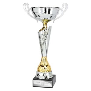 Origin Trophy Cup Silver and Gold Trophy HQ