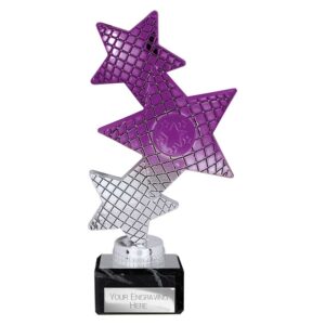 Trinity Star Multi Award Plastic Trophy Silver and Purple Trophy HQ