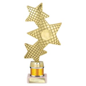Trinity Star Multi Award Tube Trophy Gold Trophy HQ