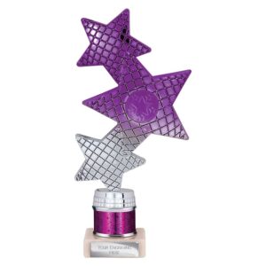 Trinity Star Multi Award Tube Trophy Purple and Silver Trophy HQ