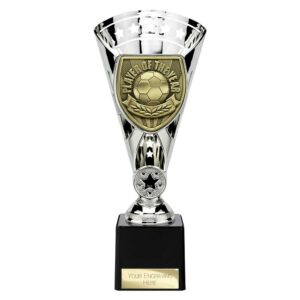 Cobra Star Trophy Cup Player of Year Silver Trophy HQ
