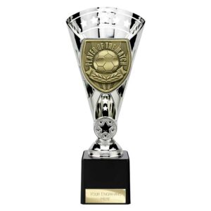 Cobra Star Trophy Cup Player of Match Silver Trophy HQ