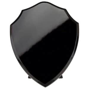 Reward Shield Epic Black Trophy HQ