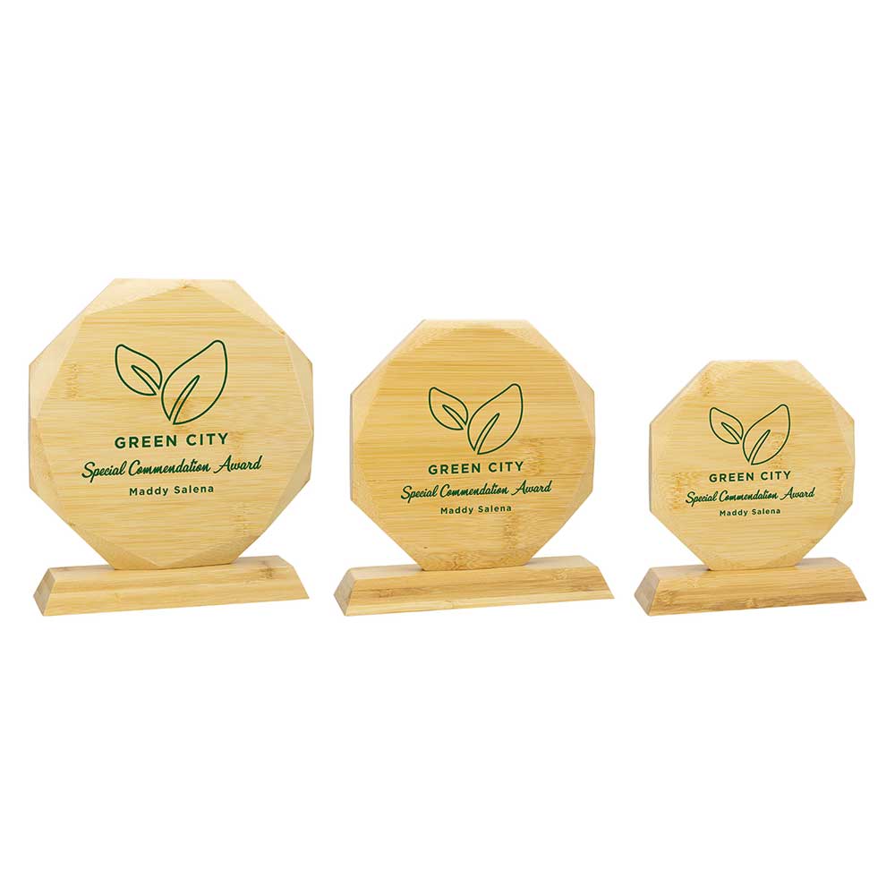 Aspire Bamboo Award Aspire Bamboo Award Trophy HQ 2
