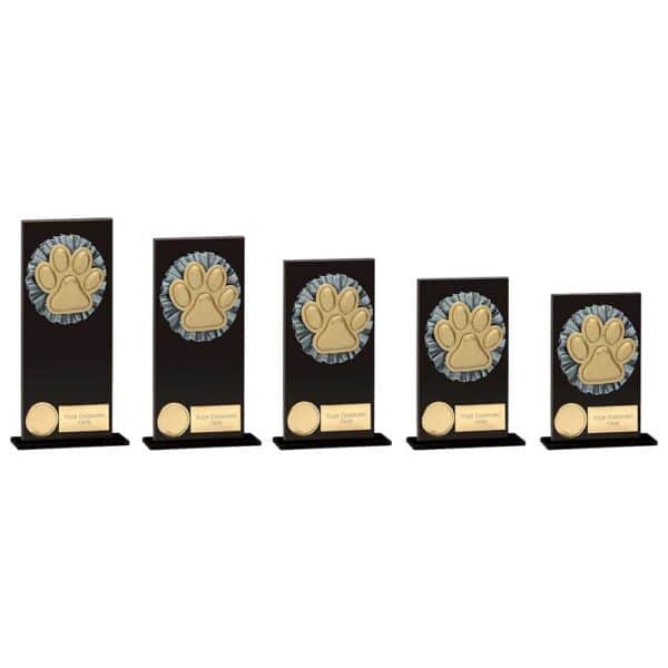 Euphoria Hero Dog Agility Glass Award Trophy HQ