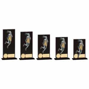 Euphoria Hero Netball Glass Award Trophy HQ