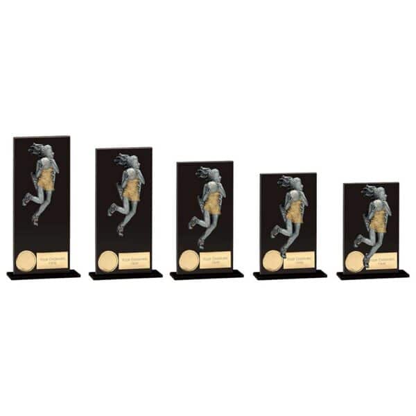 Euphoria Hero Netball Glass Award Trophy HQ