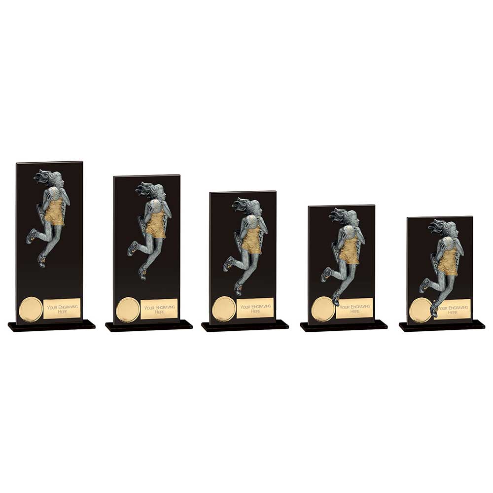 Euphoria Hero Netball Glass Award Trophy HQ Euphoria Hero Netball Glass Award Trophy HQ