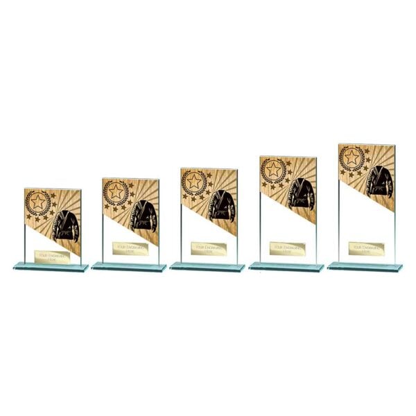 Mustang Martial Arts Jade Glass Award Trophy HQ