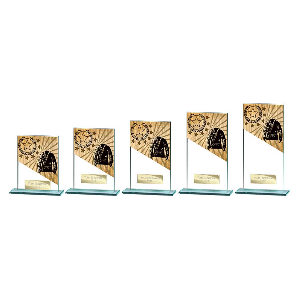 Mustang Martial Arts Jade Glass Award Trophy HQ Mustang Martial Arts Jade Glass Award Trophy HQ
